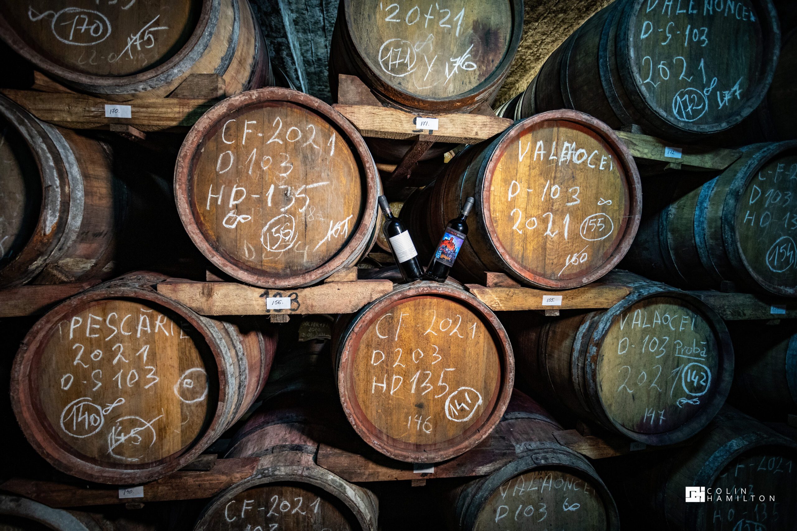 Barrel Tasting